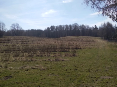 Działka rolna Nętno sprzedam