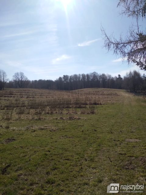 Działka rolna Nętno sprzedam