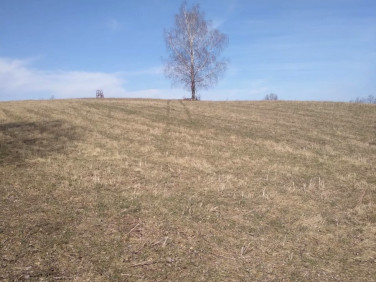 Działka rolna Płocie sprzedam