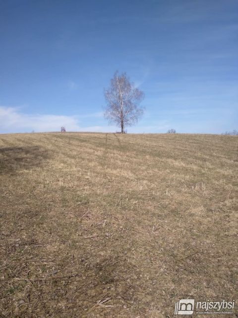 Działka rolna Płocie sprzedam