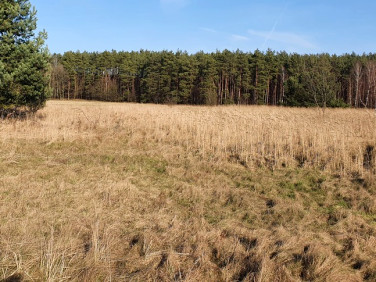 Działka Białuń