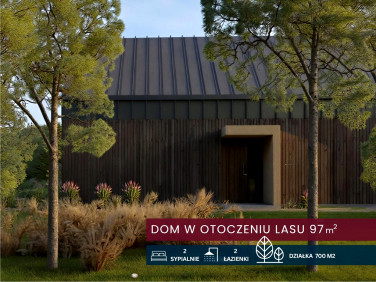 Dom Widełka