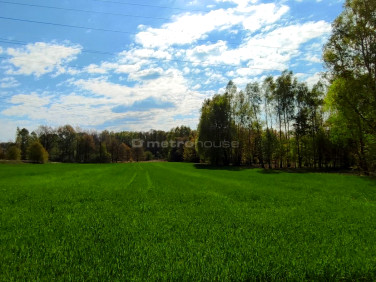 Działka inwestycyjna Rybnik