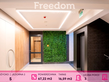 Mieszkanie Giżycko
