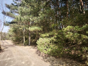 Działka Karczewko