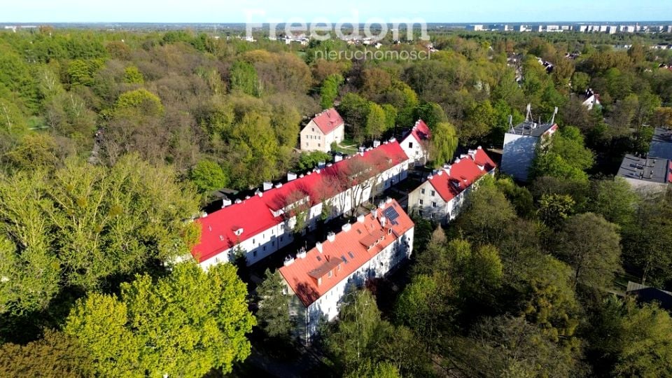 Zdjęcie 3