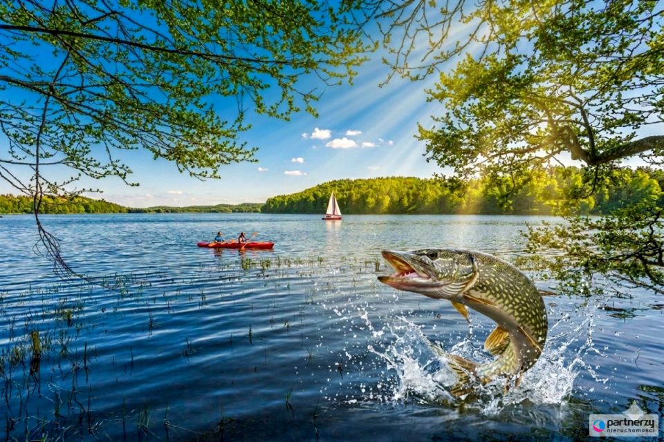Działka siedliskowa Łączyńska Huta