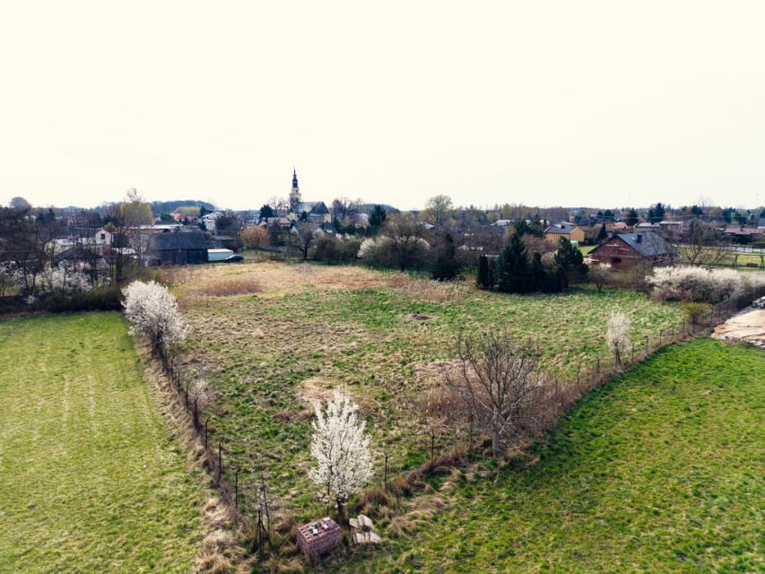Zdjęcie 3