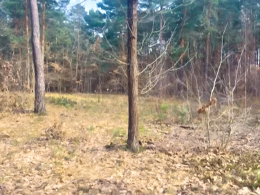 Działka budowlana Radziejowice-Parcel