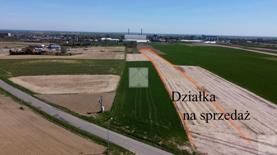 Zdjęcie 3