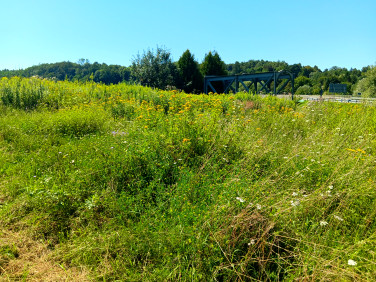 Działka inna Strzyżów