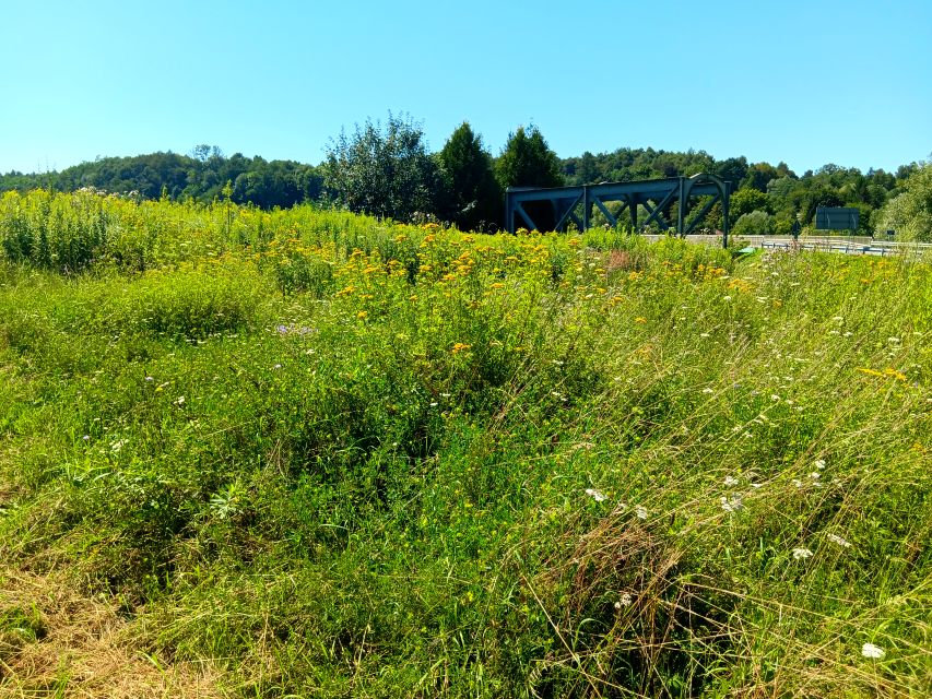 Działka inna Strzyżów