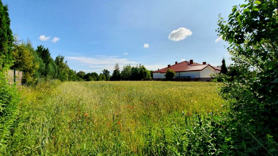 Działka budowlana Dąbrowica