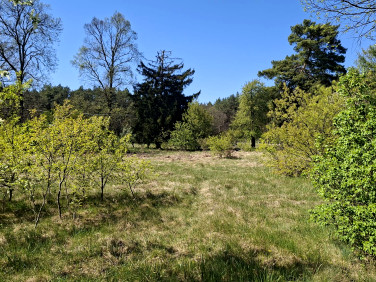 Działka nad jeziorem