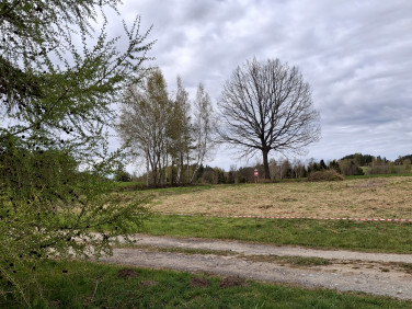 Działka Staniszewo