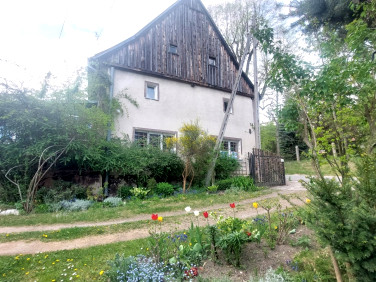 Dom Olszyniec
