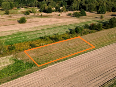 Działka budowlana Rajec Poduchowny