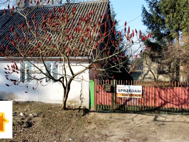 Działka Dąbrowice