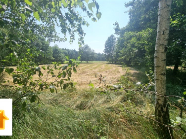 Działka Słupno