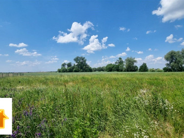 Działka Radzanowo