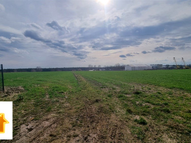 Działka inwestycyjna Słupno