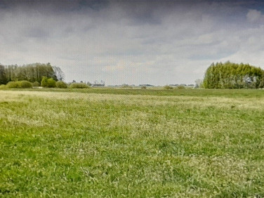 Działka Krasne