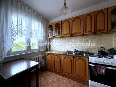 Mieszkanie Toruń