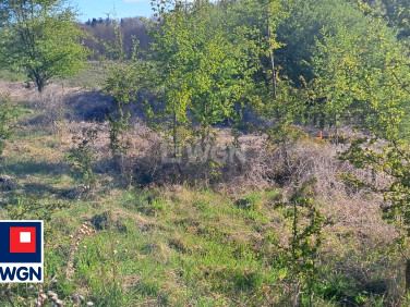 Działka budowlana Żałe