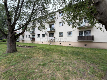 Mieszkanie Strzelce Krajeńskie