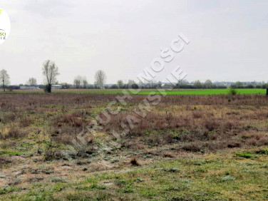 Działka Grodztwo