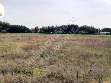 Działka Grodztwo