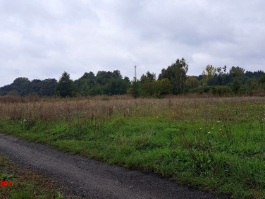 Działka rolna Ostrzeszów