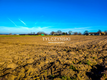 Działka rolna Wólka Grodziska