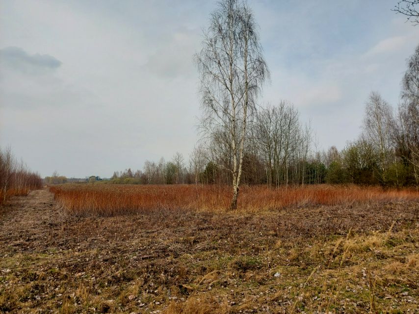 Działka budowlana Szymanów