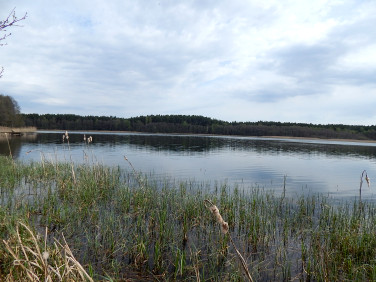 Działka Nierostowo