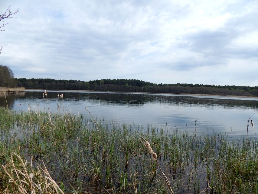 Działka Nierostowo