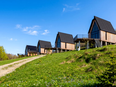 Dom Paleśnica