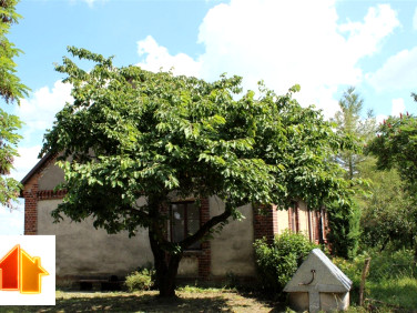 Dom Gąbin