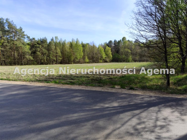 Działka siedliskowa Pokaniewo