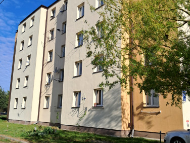 Mieszkanie Nowe Miasto nad Pilicą