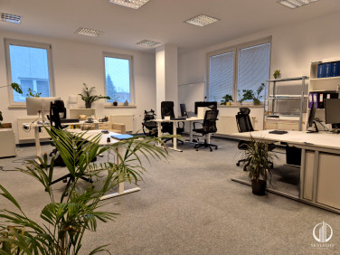Lokal Warszawa
