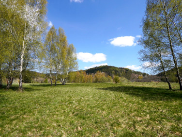 Działka inwestycyjna Wysowa-Zdrój
