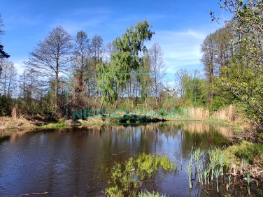 Działka budowlano-rolna Janinów