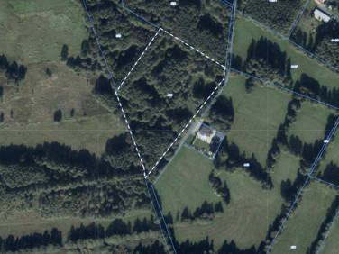 Działka siedliskowa Boruja Nowa