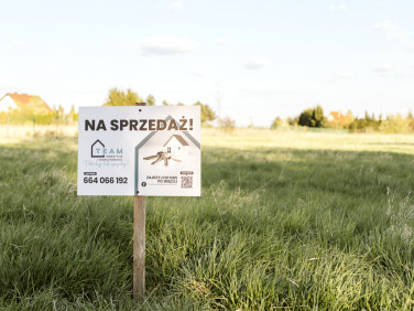 Działka przy lesie