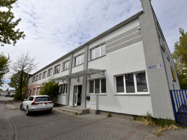 Lokal Włocławek