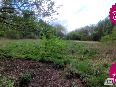 Działka inwestycyjna Goleniów