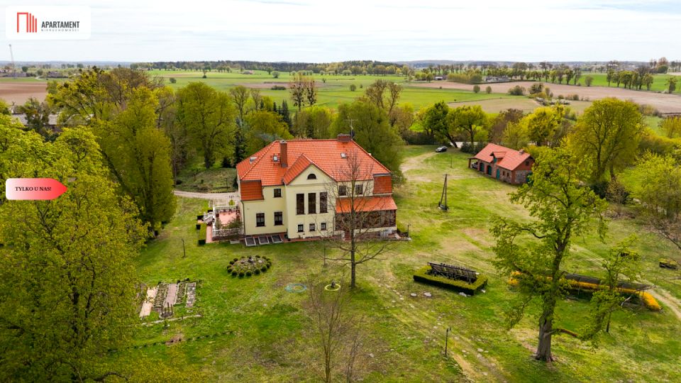 Zdjęcie 3