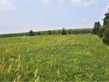 Działka Goleń
