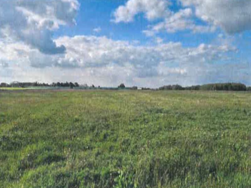 Działka leśna Brzozówka